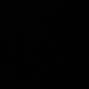 Meet your Posher, Delaney